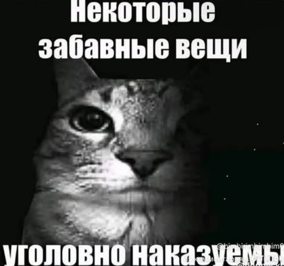 После добавления лайвкит