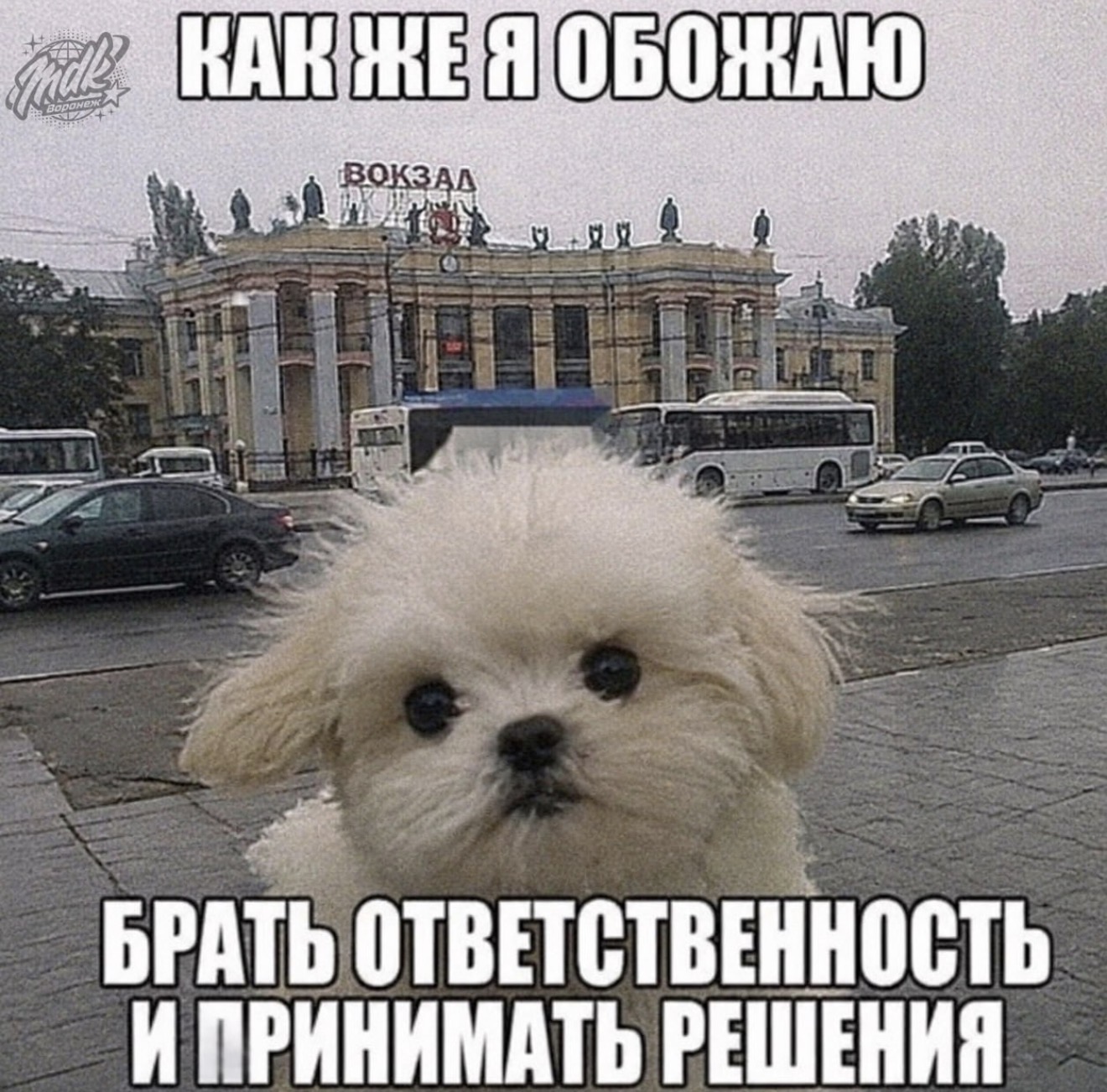 Треш ч.2