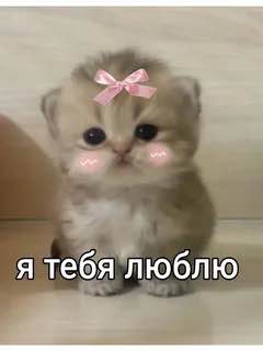Тест эфир
